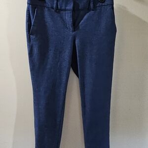Stylish Blue Trousers
